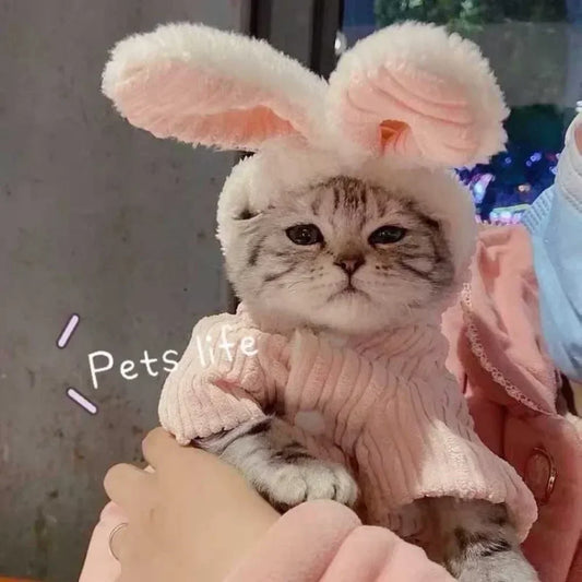 Winter Rabbit Ear Teddy Bear Dog Cat Clothes Warm Comfortable Elastic Cute Pet Coat Clothing for Small Dogs Peaceful Pleasures Health and Wellness