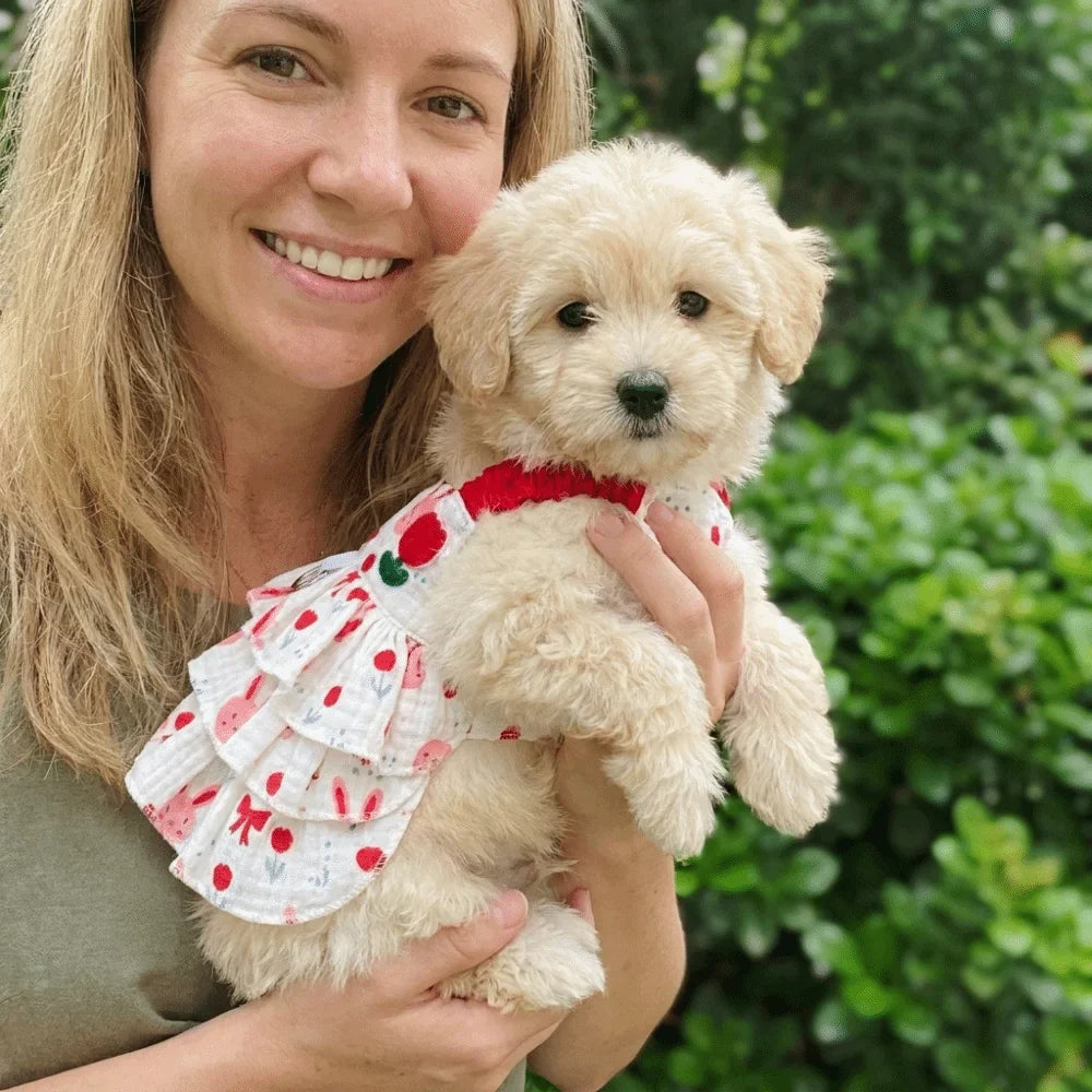 Cotton Dog Cake Skirt Suspender Dress | Sizes XS–4XL
