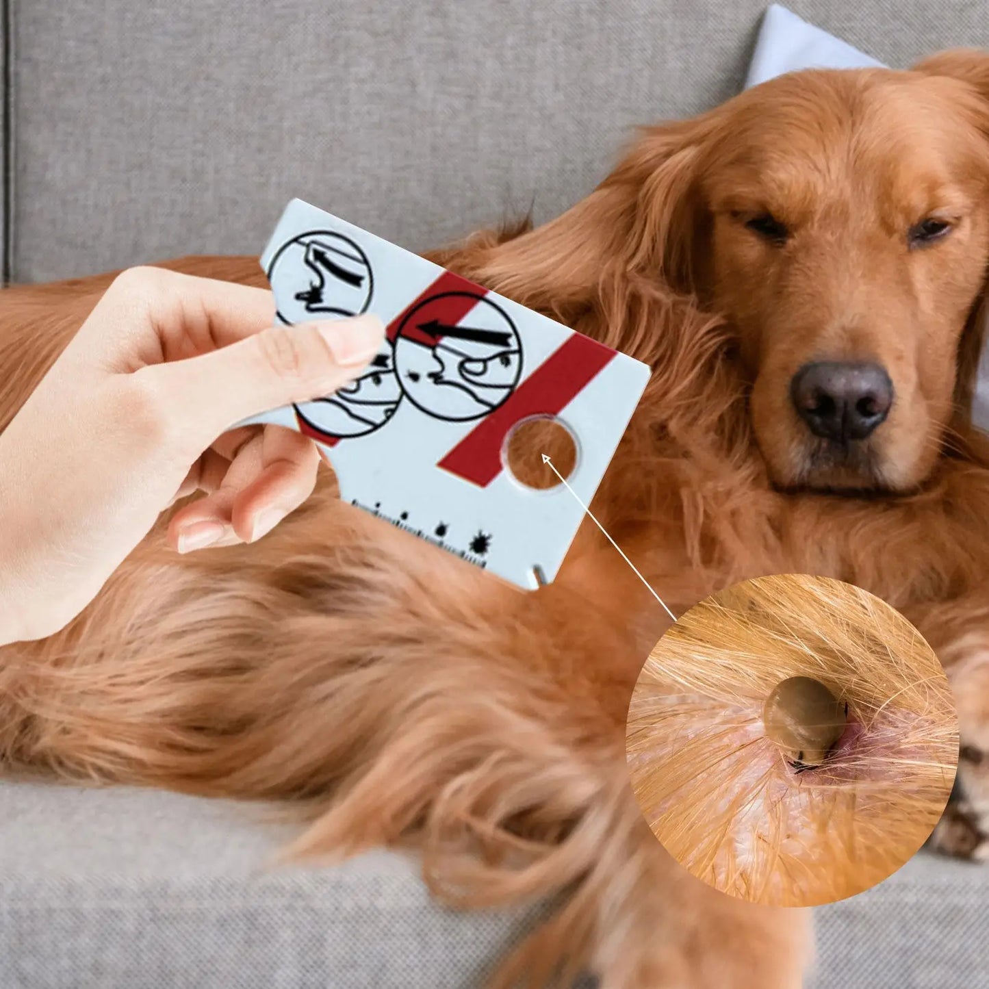 Tick Card For Children Allows Low Risk Removal Of Ticks Portable Tick Card With Magnifier For Gently Remove Ticks From People Peaceful Pleasures Health and Wellness