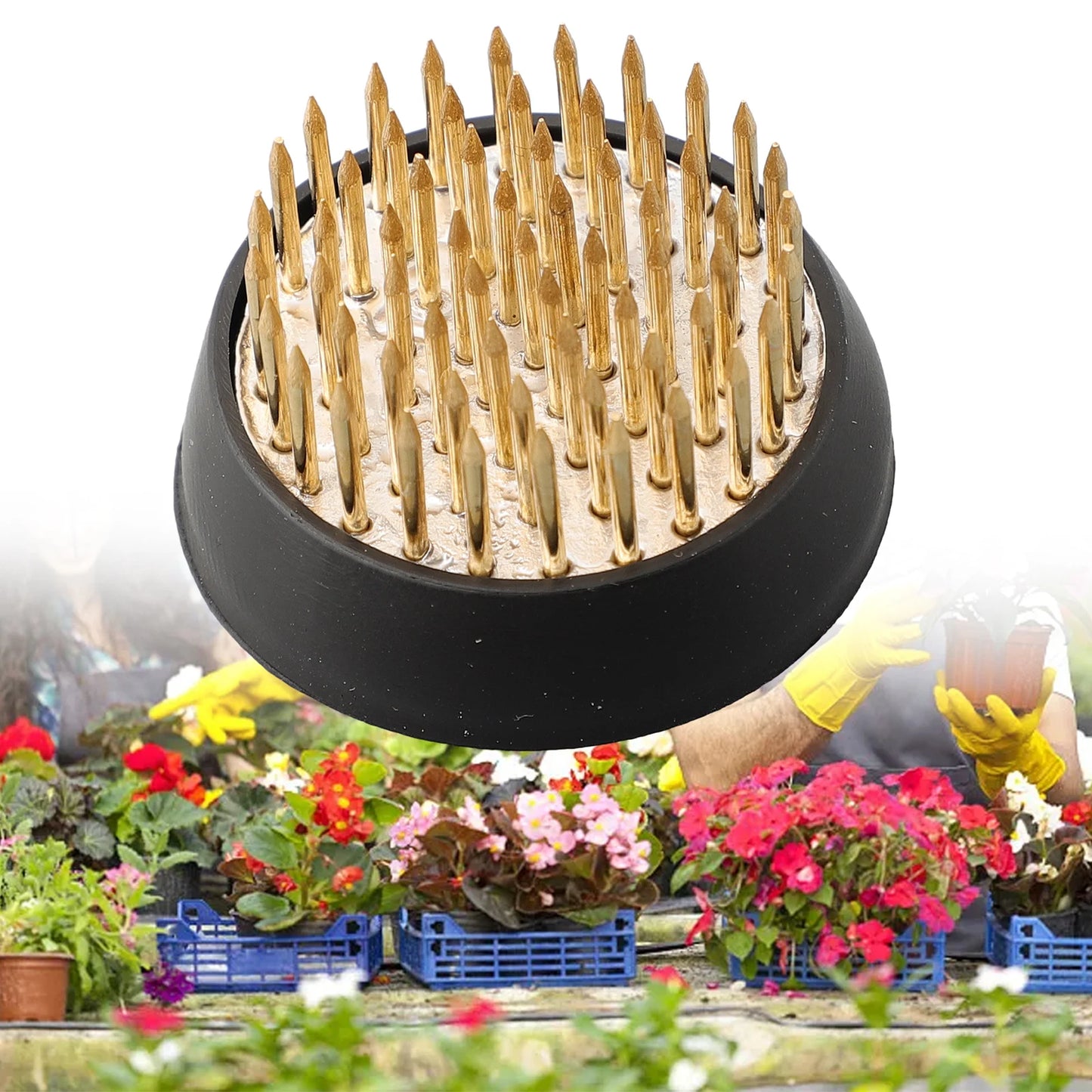 Round Ikebana Kenzan Flowers Base Holder Spiky Frog Fixed Tool Floral