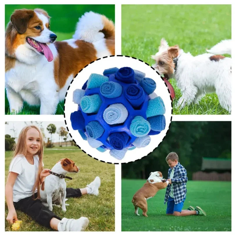 Dog Snuffle Ball – Interactive Foraging & Enrichment Toy Dog Enrichment Toy Peaceful Pleasures Health and Wellness