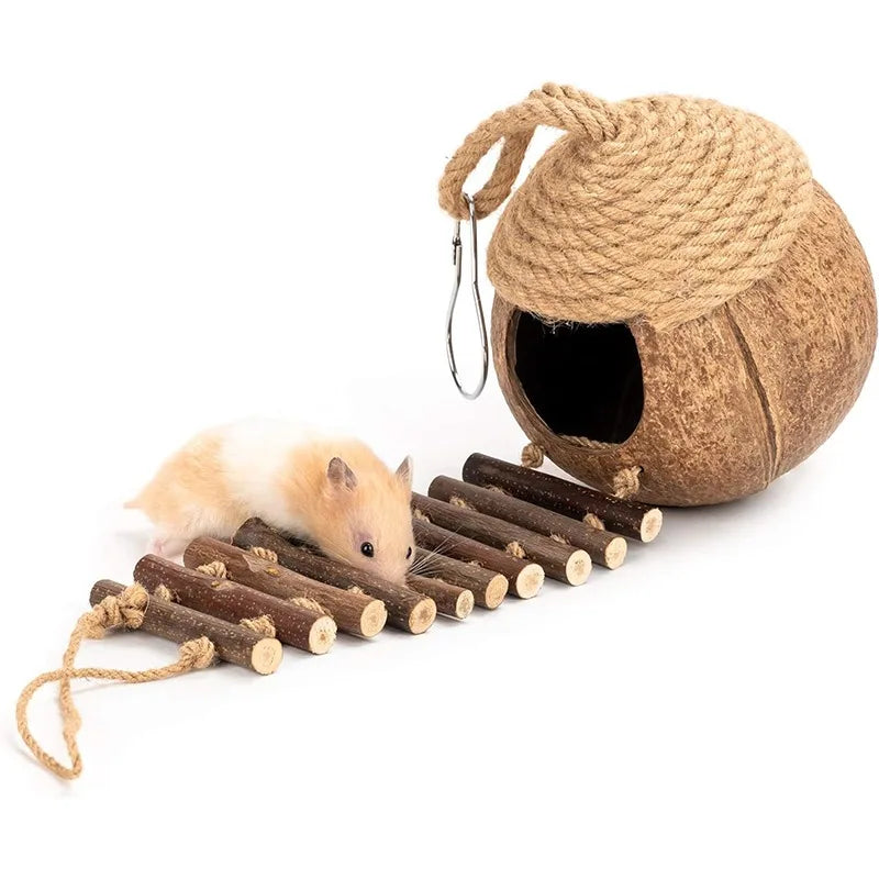 Coconut Shell Birdhouse Hut with Ladder | Natural Bird & Pet Habitat Bird Cage Habitat Peaceful Pleasures Health and Wellness Coconut Birdhouse