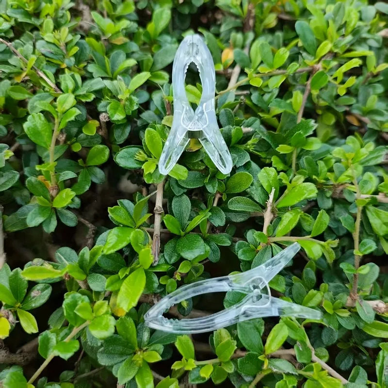 Sturdy Transparent Plastic Clips Securely Drying Clothes Suitable