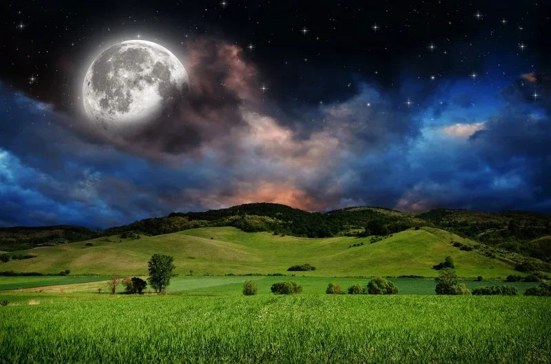 Surrealism Space Galaxy Canvas Wall Art | Stars & Planets Print