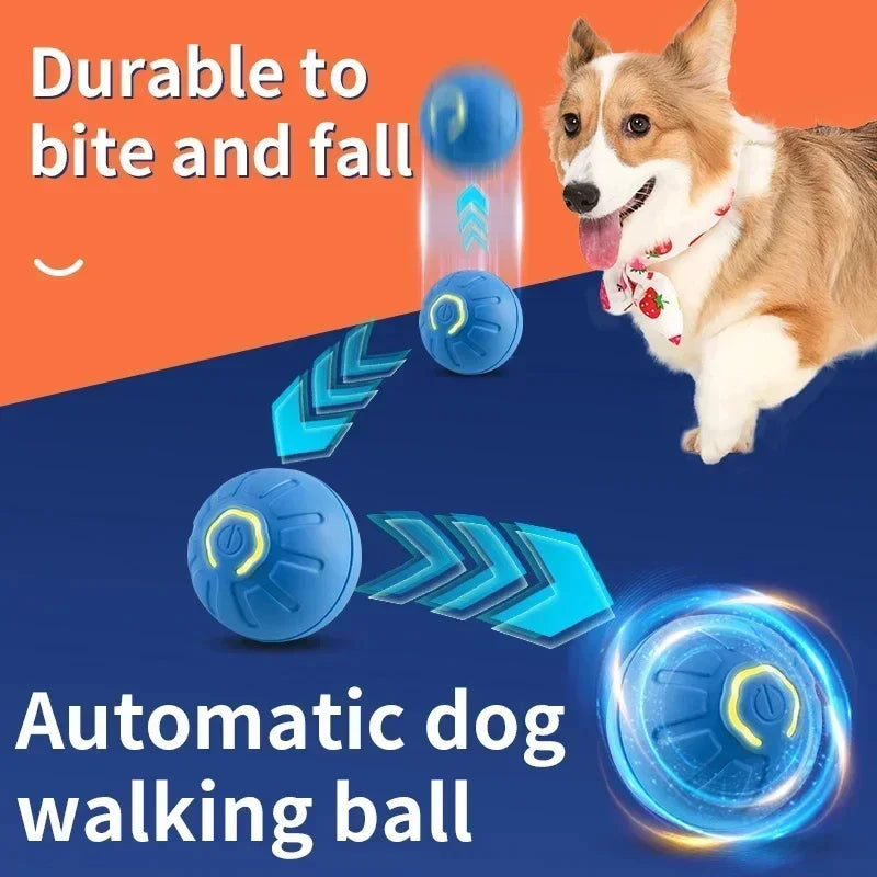 USB Rechargeable Interactive Bouncing Ball for Dogs & Cats