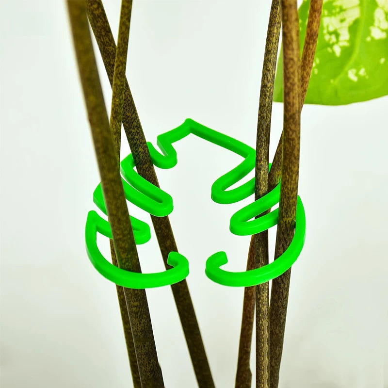 2-Pack Turtle Shell Plant Stem Support Clips for Climbing Plants Plant Support Clips Peaceful Pleasures Health and Wellness