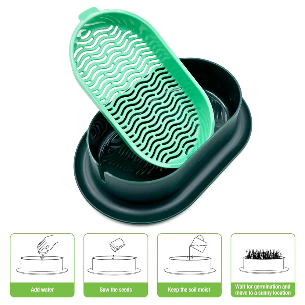 New Pet cat sprout Dish Growing Pot Hydroponic Plant cat Grass Germination Digestion starter Dish Greenhouse Grow Box Peaceful Pleasures Health and Wellness