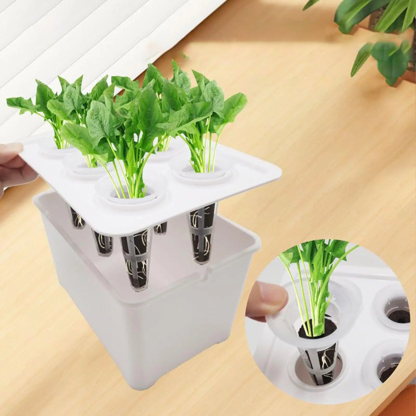 Indoor Hydroponic System 6-Holes Growing Box System Vegetables Planting Box For Vegetables Flowers Fruits Indoor Outdoor Garden Peaceful Pleasures Health and Wellness