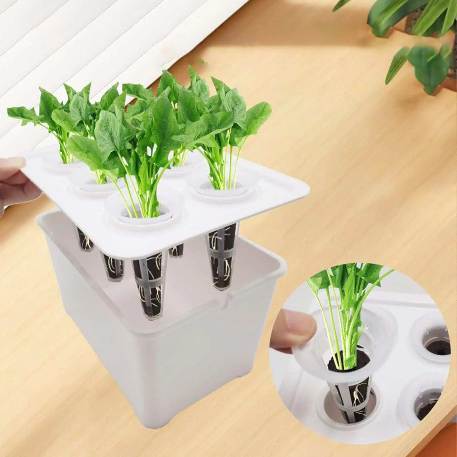 Indoor Hydroponic System 6-Holes Growing Box System Vegetables Planting Box For Vegetables Flowers Fruits Indoor Outdoor Garden Peaceful Pleasures Health and Wellness