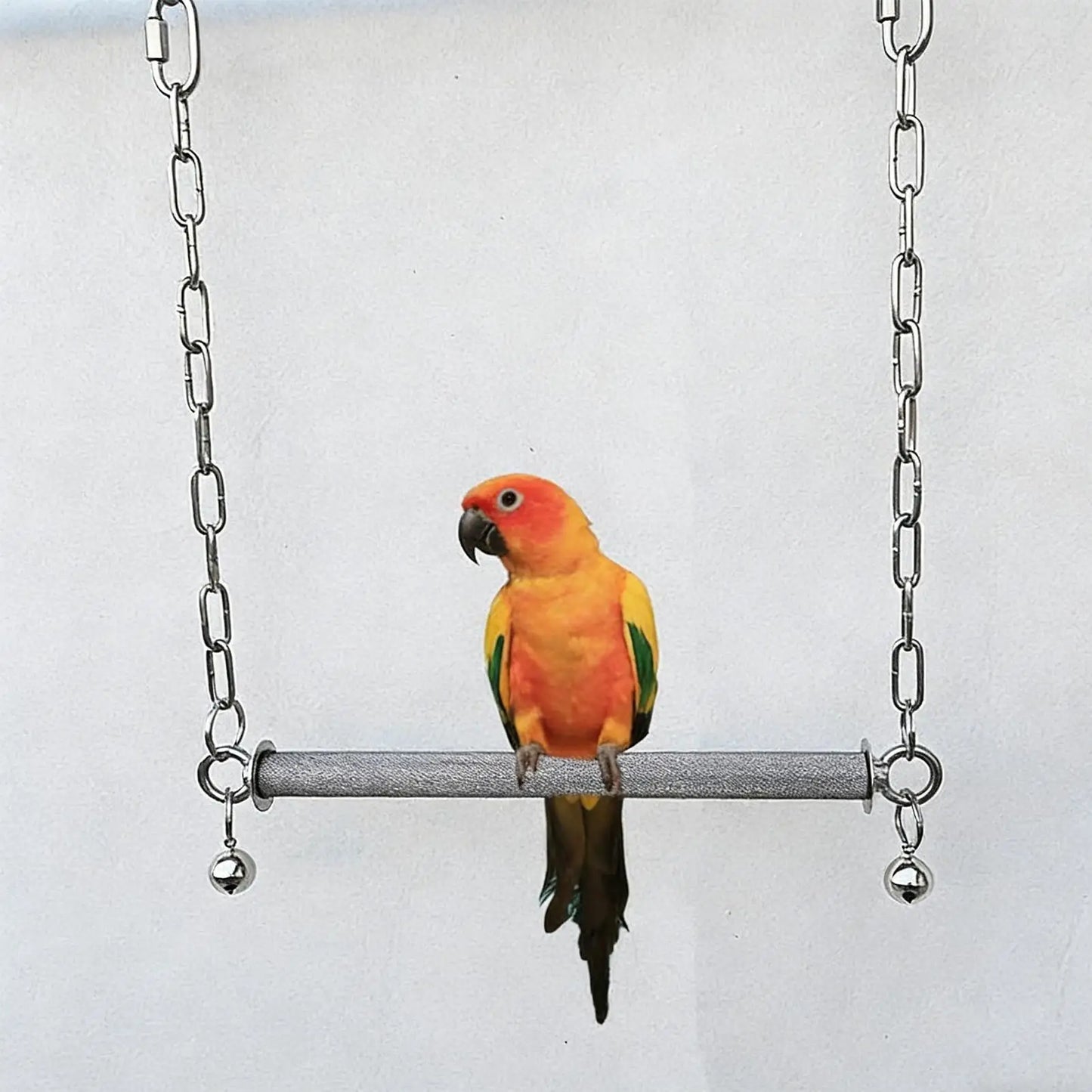 Stainless Steel Bird Swing Perch with Bell | Large Cage Toy Bird Cage Swing Peaceful Pleasures Health and Wellness