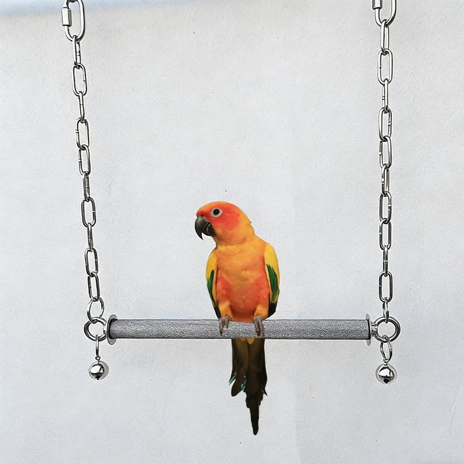 Stainless Steel Bird Swing Perch with Bell | Large Cage Toy Bird Cage Swing Peaceful Pleasures Health and Wellness