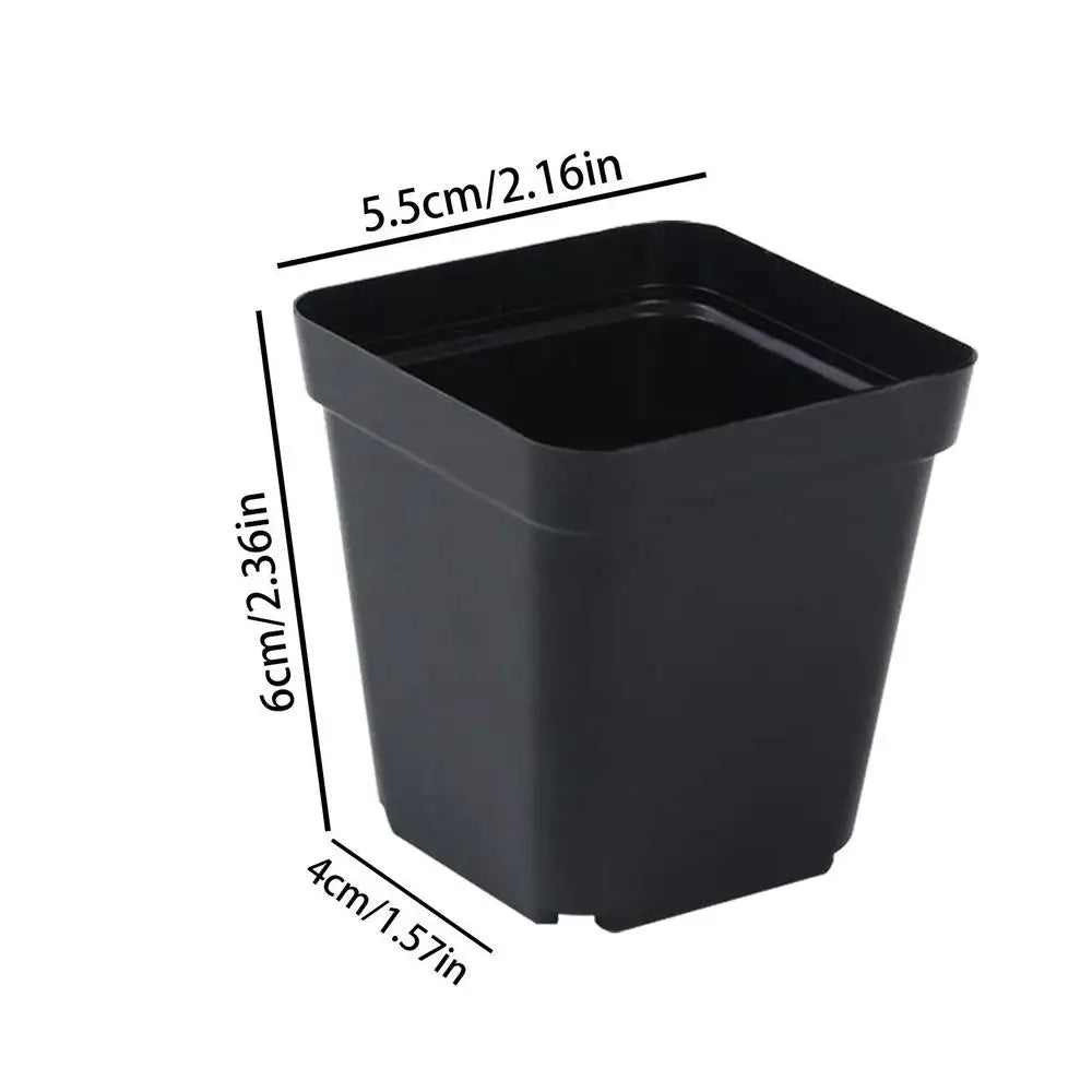 50-Pack Square Seedling Starter Pots with Drainage | Garden Kit