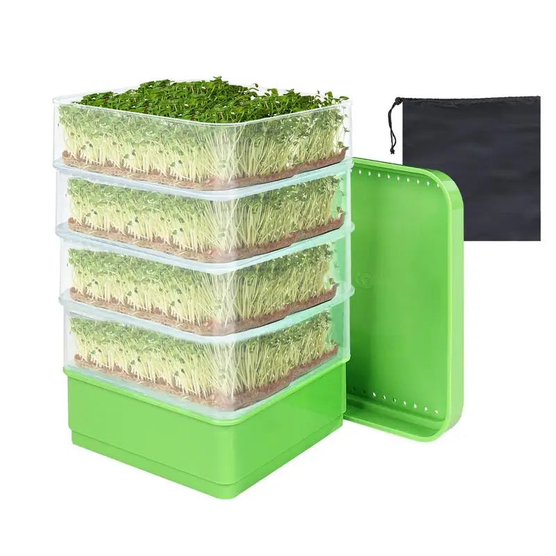 Seed Sprouter Tray With Cover Sprout Dish Growing Pot Sprout Dish Growing Pot Vegetables Plants Germination Nursery Tray Peaceful Pleasures Health and Wellness