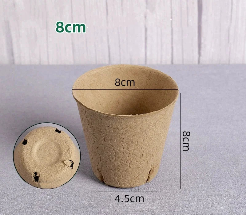 Biodegradable Pulp Seed Starter Pots | 10/20 Pack with Drainage