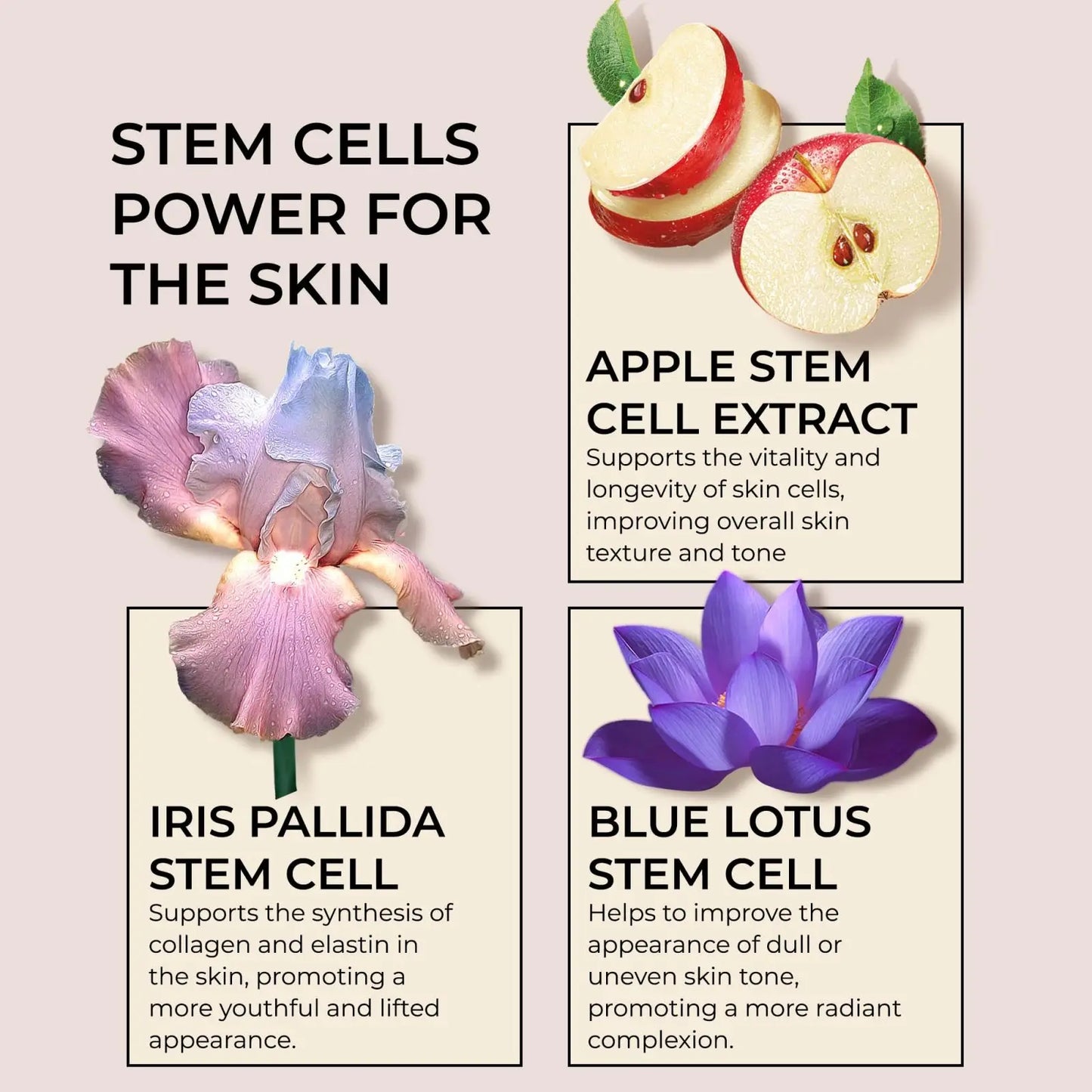 Collagen Face Moisturizer with Airless Pump - Collagen Botanical Stem Cells Cream for Skin with Retinol, Niacinamide Peaceful Pleasures Health and Wellness
