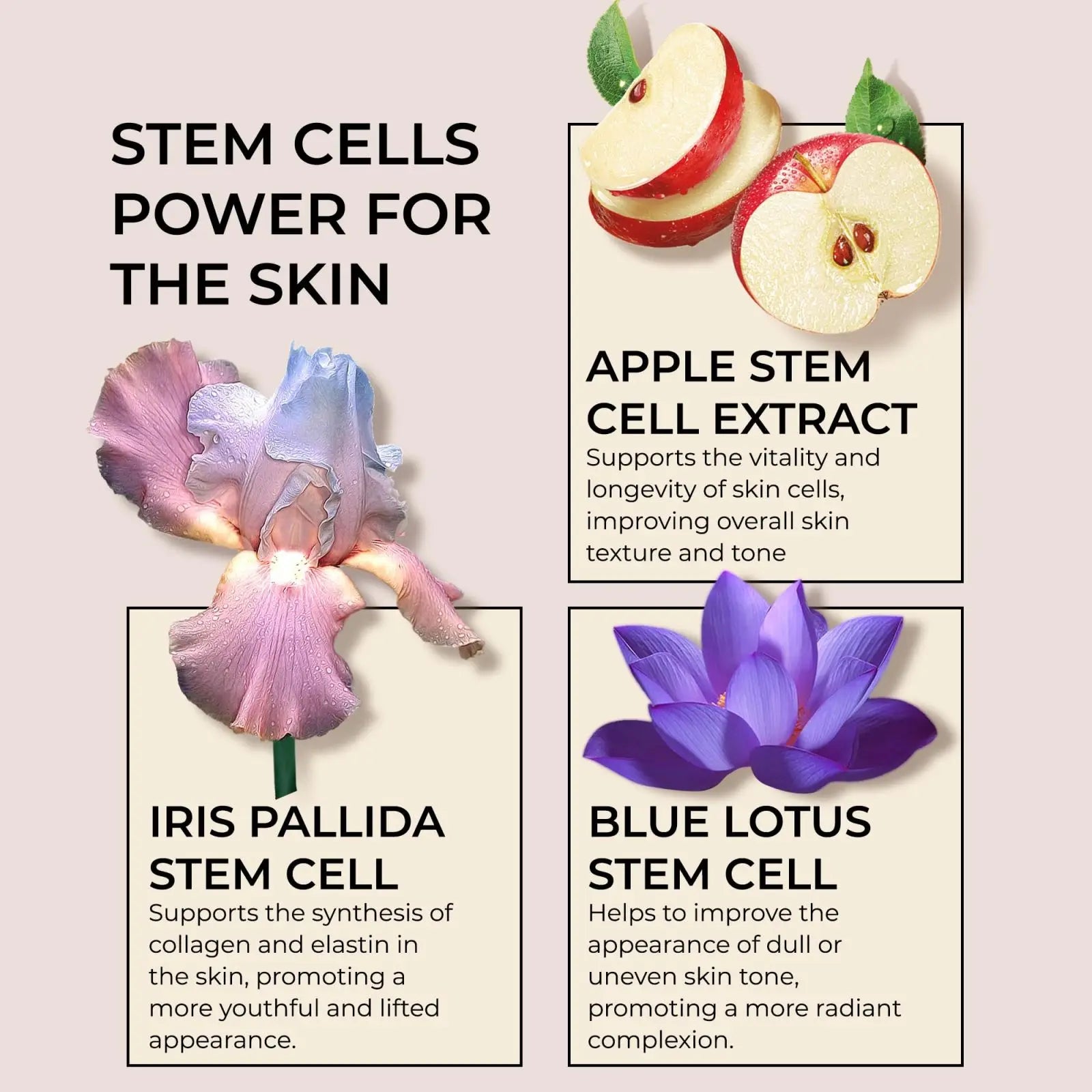 Collagen Face Moisturizer with Airless Pump - Collagen Botanical Stem Cells Cream for Skin with Retinol, Niacinamide Peaceful Pleasures Health and Wellness