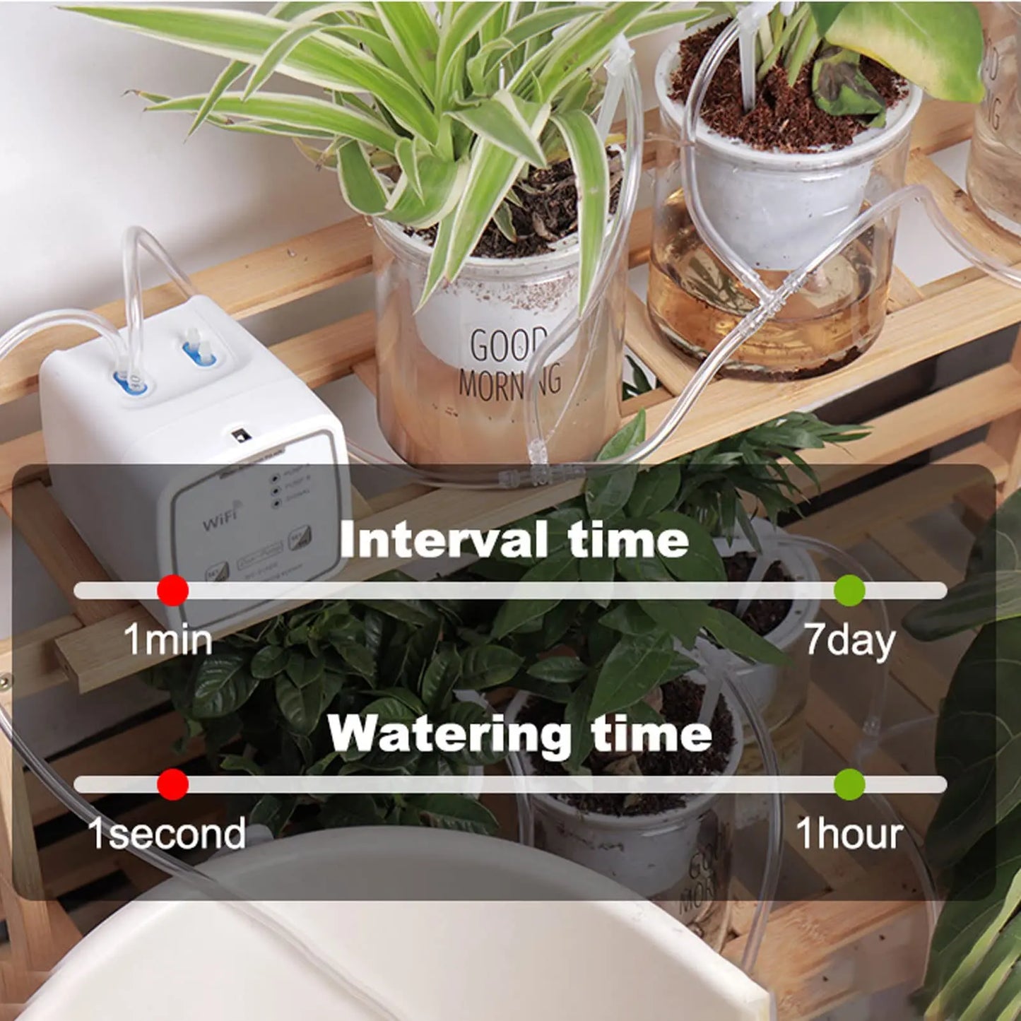 WIFI Irrigation System Remote APP Controller for Garden Terrace Intelligent Watering Device Double Pump Timed Automatic Drip Peaceful Pleasures Health and Wellness
