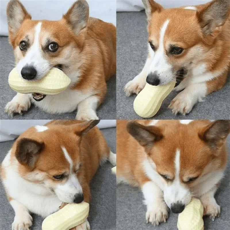Dog Squeaky Peanut Chew Toy | TPR Teeth Cleaning Interactive