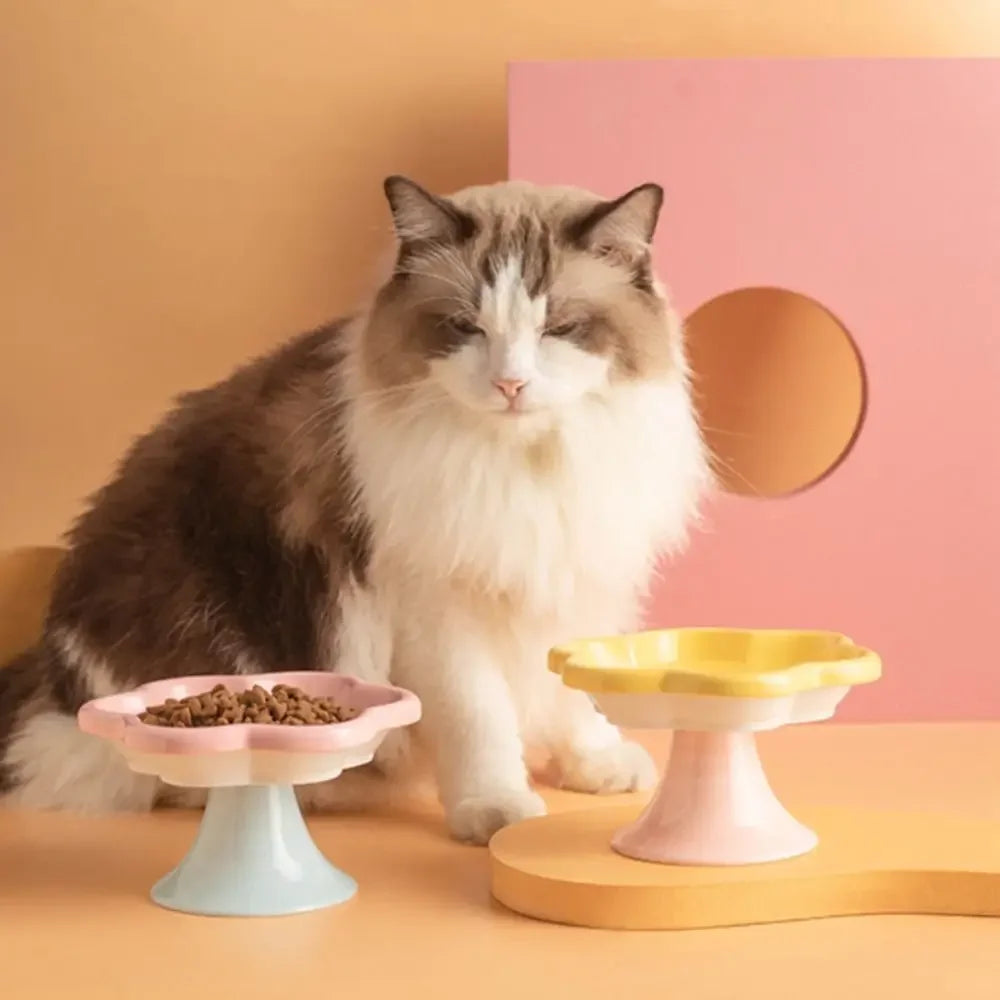 Elevated Ceramic Cat Bowl | Non-Slip Anti-Tip Raised Feeder