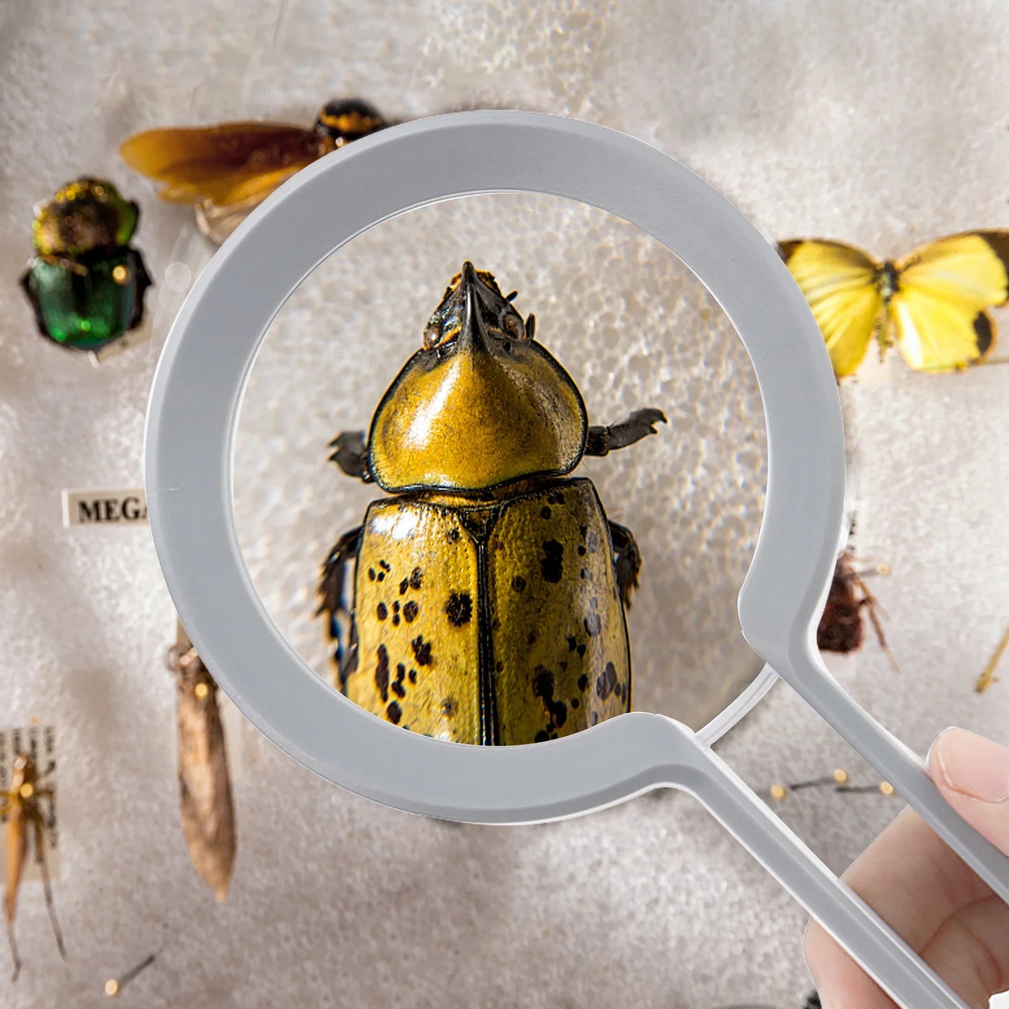 Handheld Magnifying Glass, High-Power Portable, Elderly Reading, Children Observation, Reading Magnifying Glass Peaceful Pleasures Health and Wellness