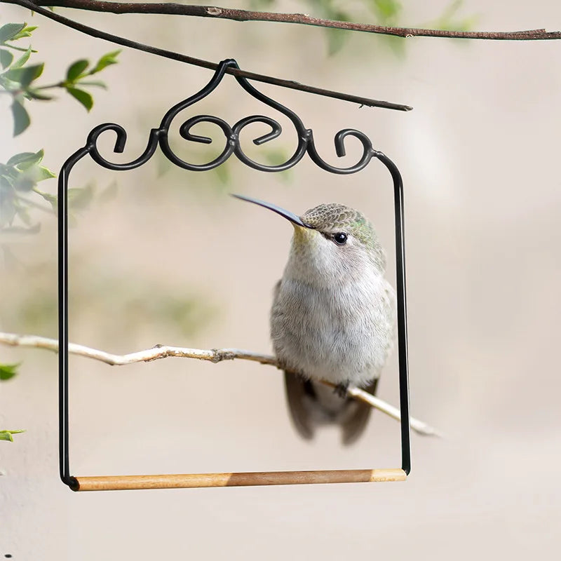 Portable Bird Stand Parrot Stand Bird Stand Birdcage Stand Platform Small Live Bird Training Accessories Budgerigar Peaceful Pleasures Health and Wellness