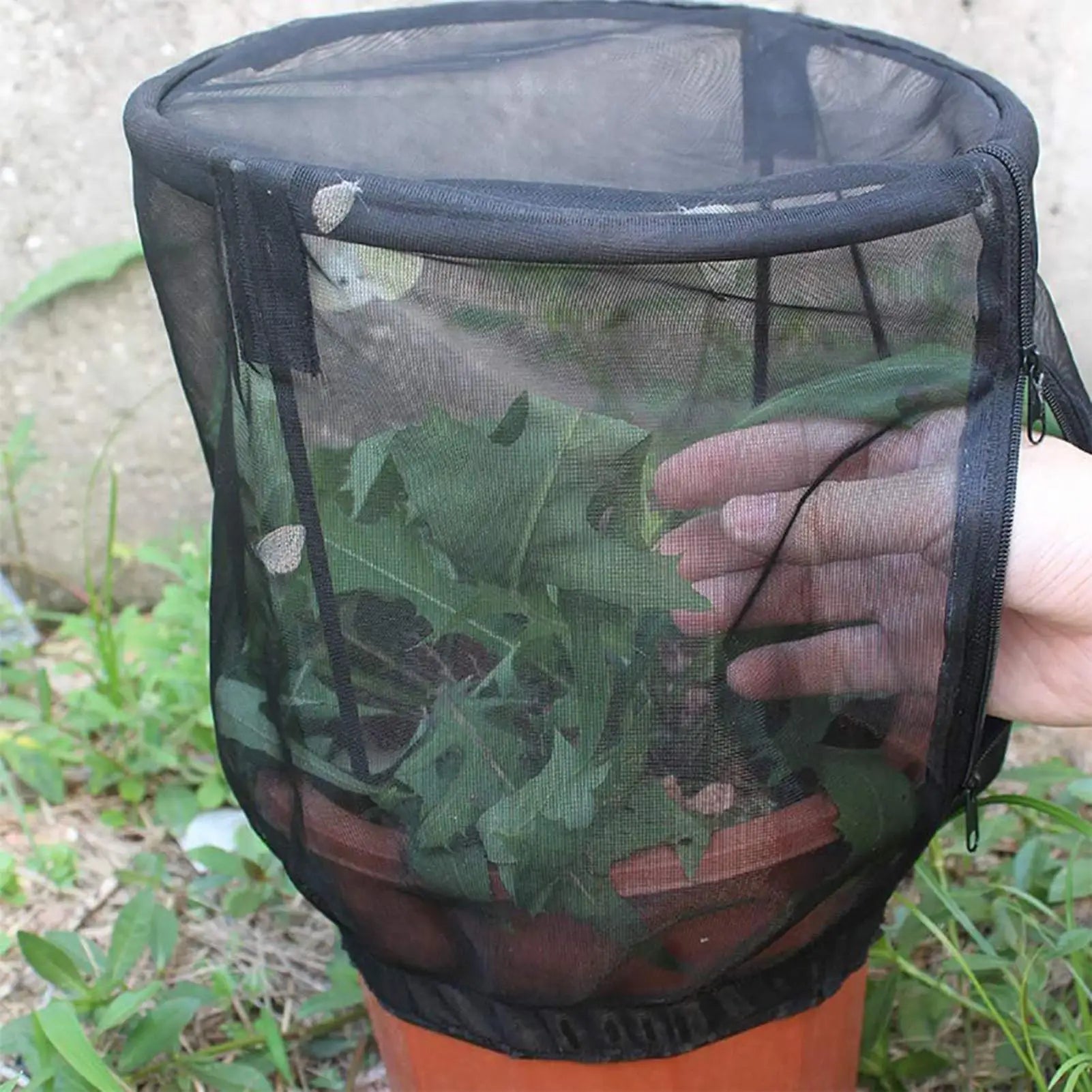 Plant Covers 2 Pieces Protective Garden Bird Barrier Mesh Plant Pot Covers for Potted Tomato Vegetables Blueberry Bushes Fruit Peaceful Pleasures Health and Wellness
