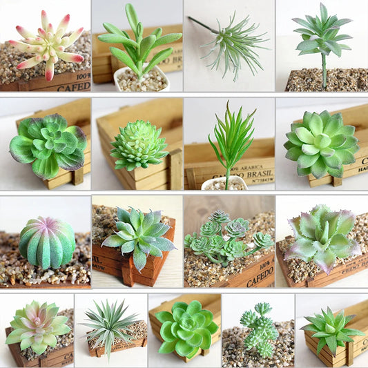 Artifical Plastic Succulent Plant Realistic Textured Cactus Mini Faux Peaceful Pleasures Health and Wellness