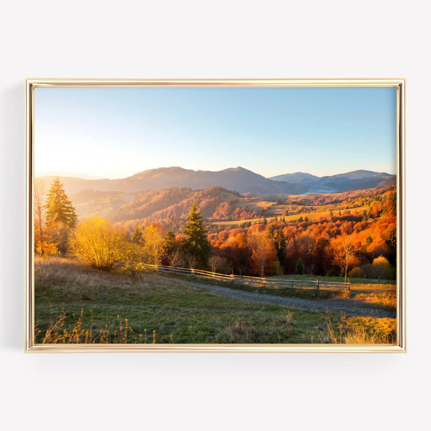 Autumn Forest Path Canvas Print | Golden Leaves Wall Art