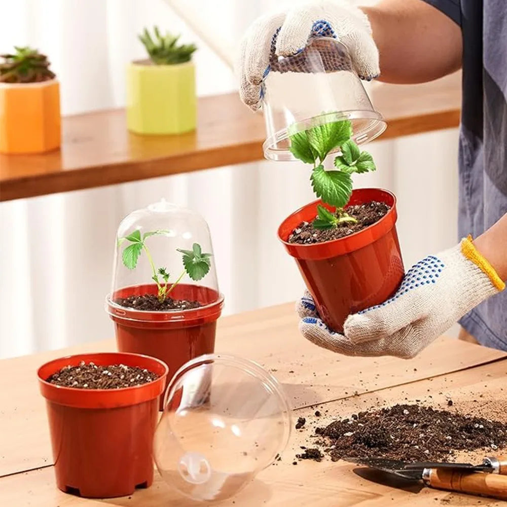 18-Piece Nursery Pots with Humidity Dome Lids – Clear Plastic