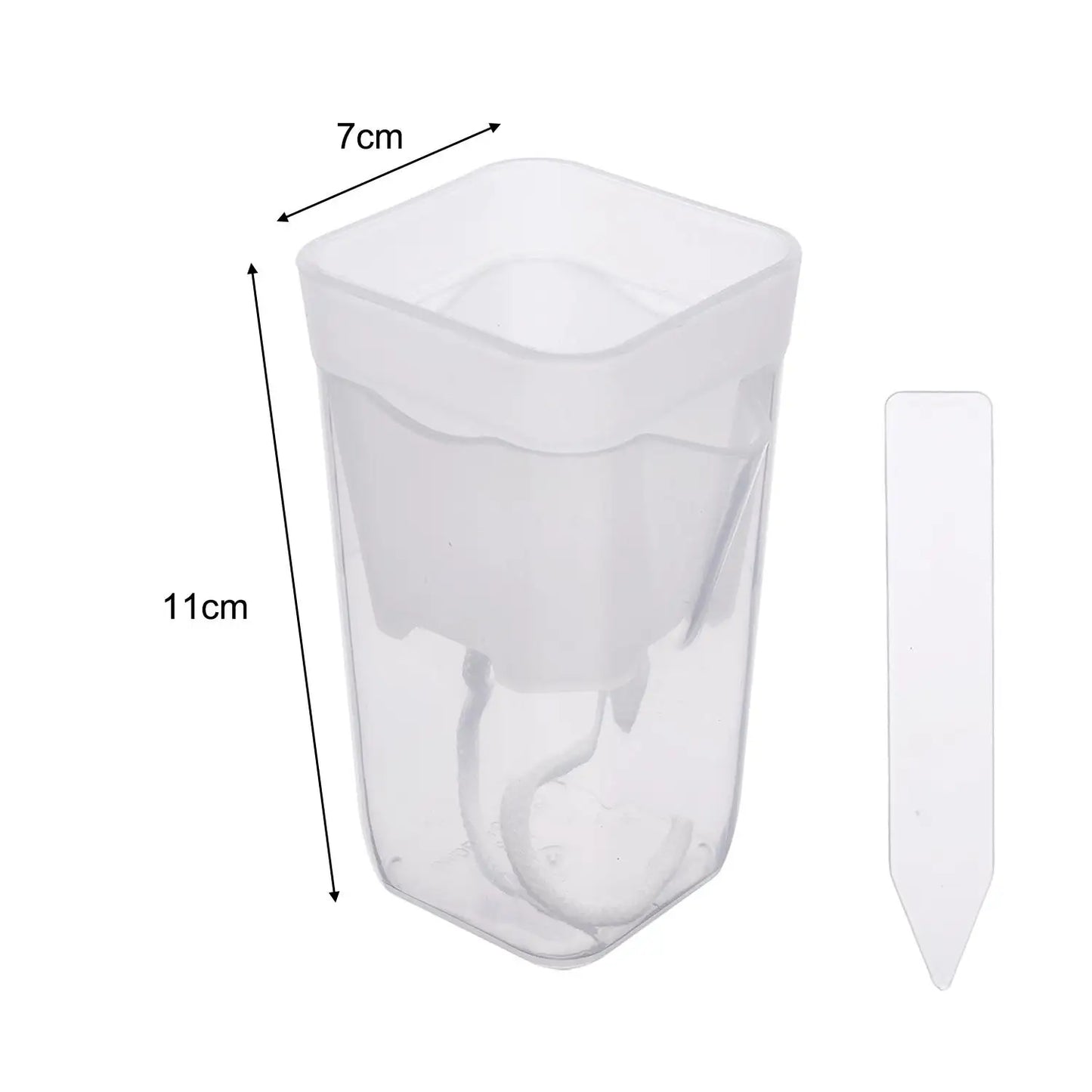 Transparent Self-Watering Plant Pot | Seedling Propagation Planter