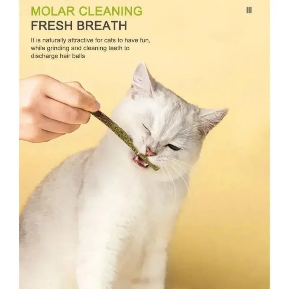 Natural Silvervine Matatabi Cat Chew Sticks – 6 Pack | Teeth Care