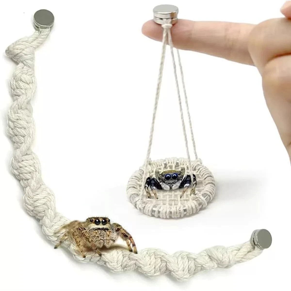 Jumping Spider Hammock & Bridge Climbing Set | Gecko Habitat
