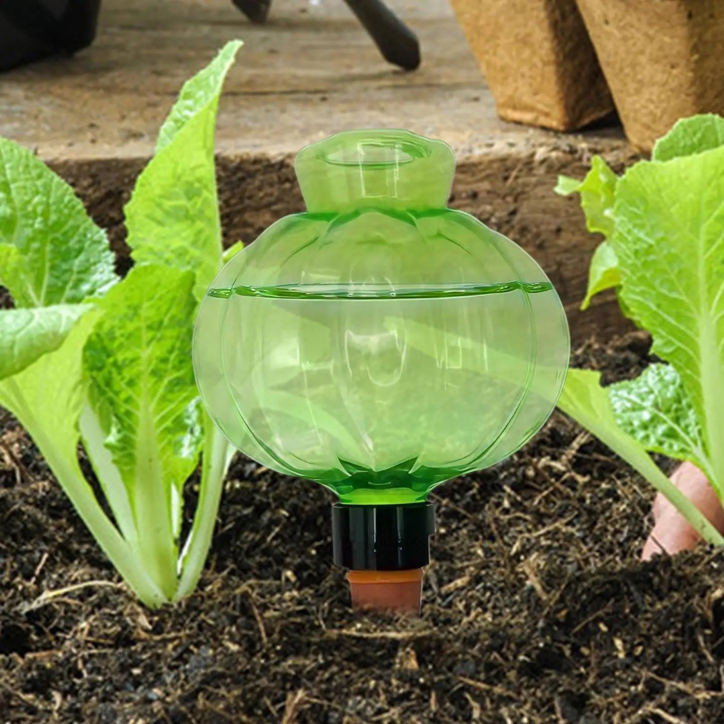 Self-Watering Globe – Automatic Drip Irrigation for Plants