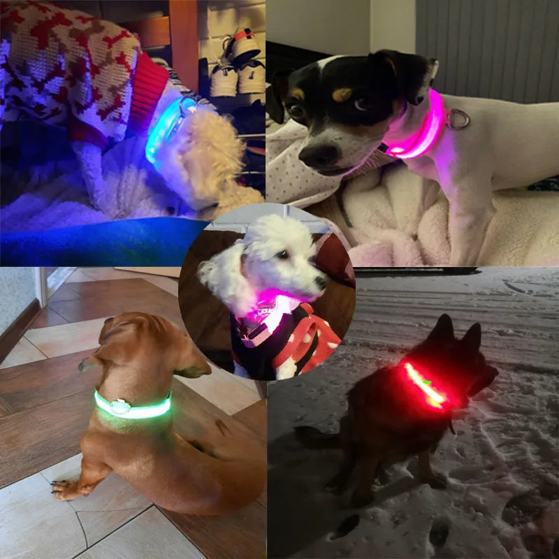 Colorful USB Rechargeable Pet Dog LED Glowing Collar Luminous Flashing Necklace Outdoor Walking Night Safety Supplies DC05 Peaceful Pleasures Health and Wellness