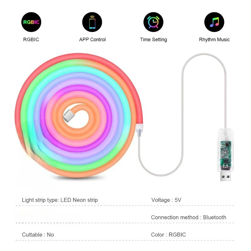 RGBIC Neon LED Strip Light Bluetooth App Control USB Waterproof