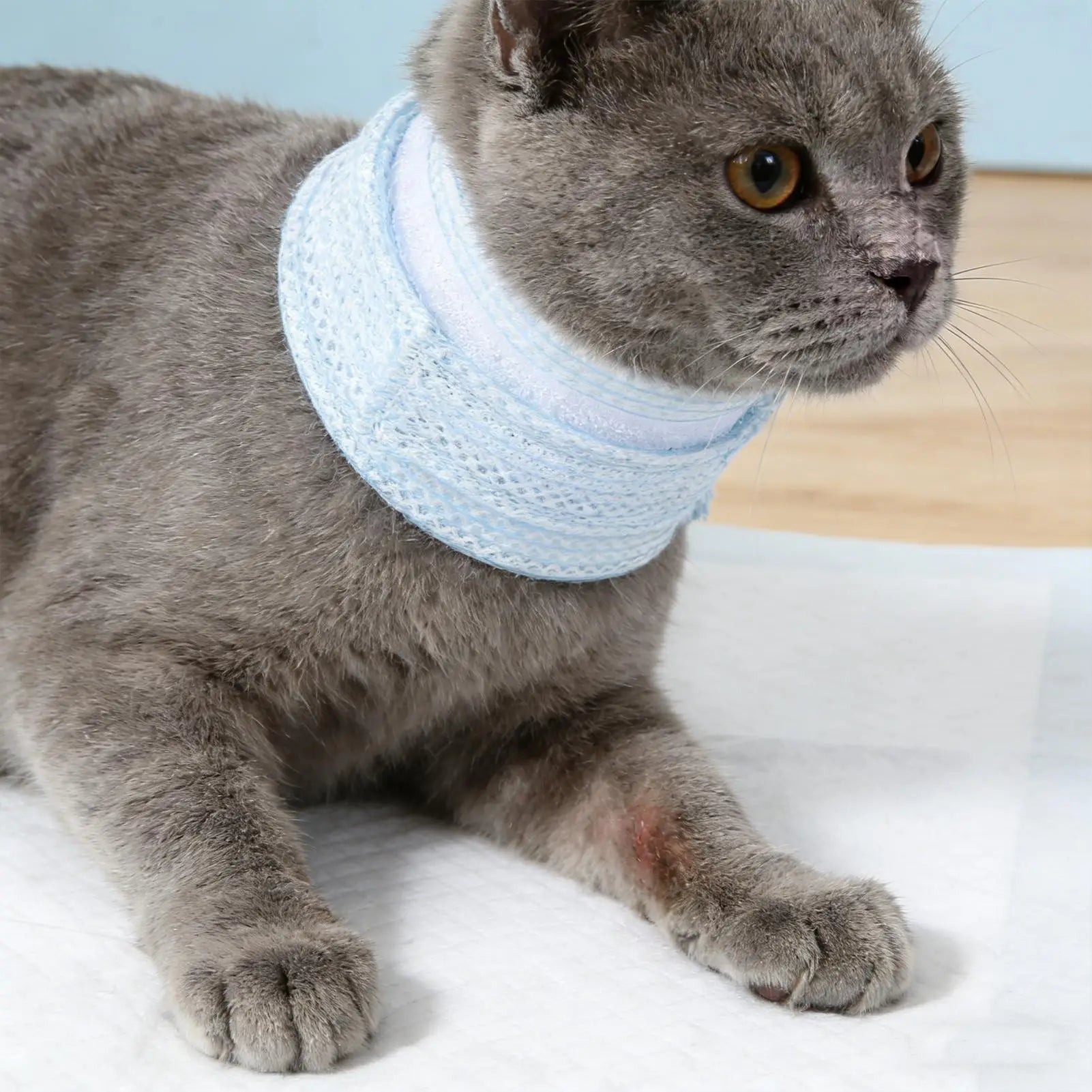 Dog Cat Neck Brace Cover Breathable Comfortable Anti-Scratch Pet Neck Protective Collar Adjustable Soft Cushion Cervical Cone Peaceful Pleasures Health and Wellness