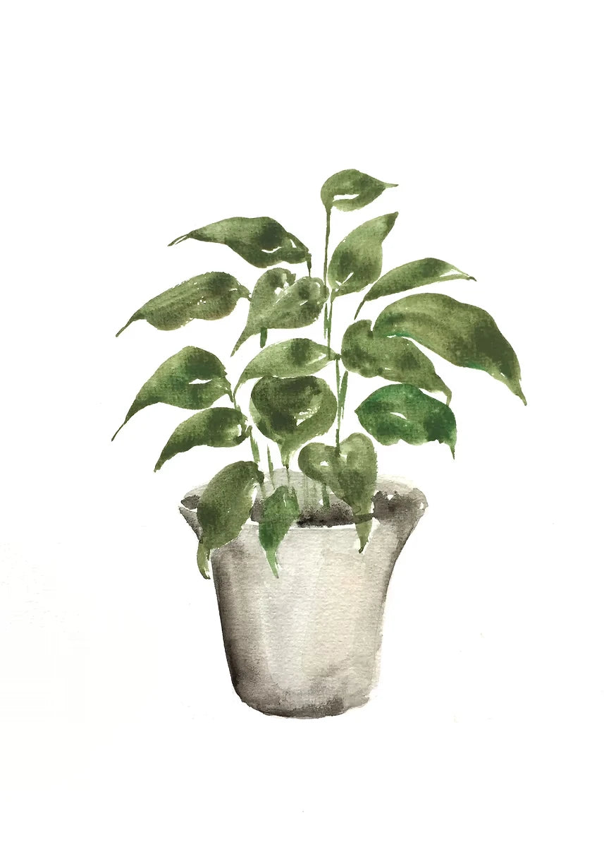 Plant Potted Watercolor Poster Family Garden Houseplant Botanical Canvas Printing Wall Art Picture for Living Room Home Decor Peaceful Pleasures Health and Wellness DM92-4 30x40cm Unframed