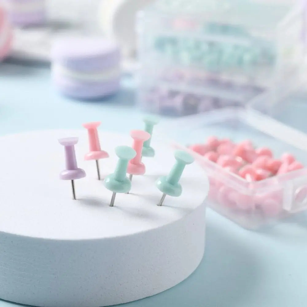 Portable Macaron Color Pushpin Thumbtac Fixing Pin Plastic Board Push Pin Small Fresh Thumb Tacks School Peaceful Pleasures Health and Wellness