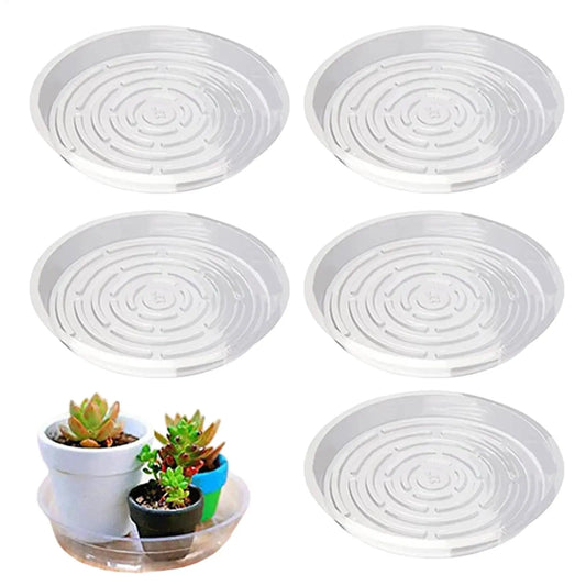 5-Pack Clear Round Plant Saucers | Plastic Pot Trays 6" 8" 10" Plant Saucers Oasis Select