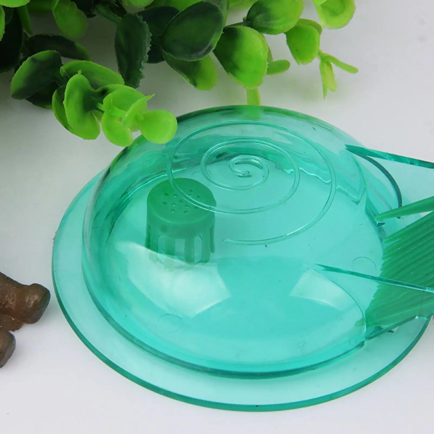 Aquarium Snail Trap – Transparent Snail Catcher for Fish Tanks