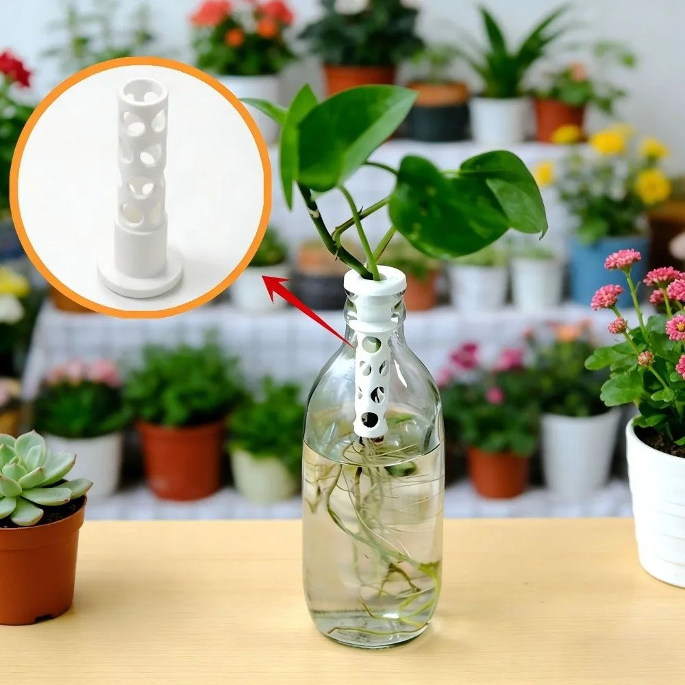 3D Printed Hydroponic Plant Holders | Indoor Basket Stand 2-Pack