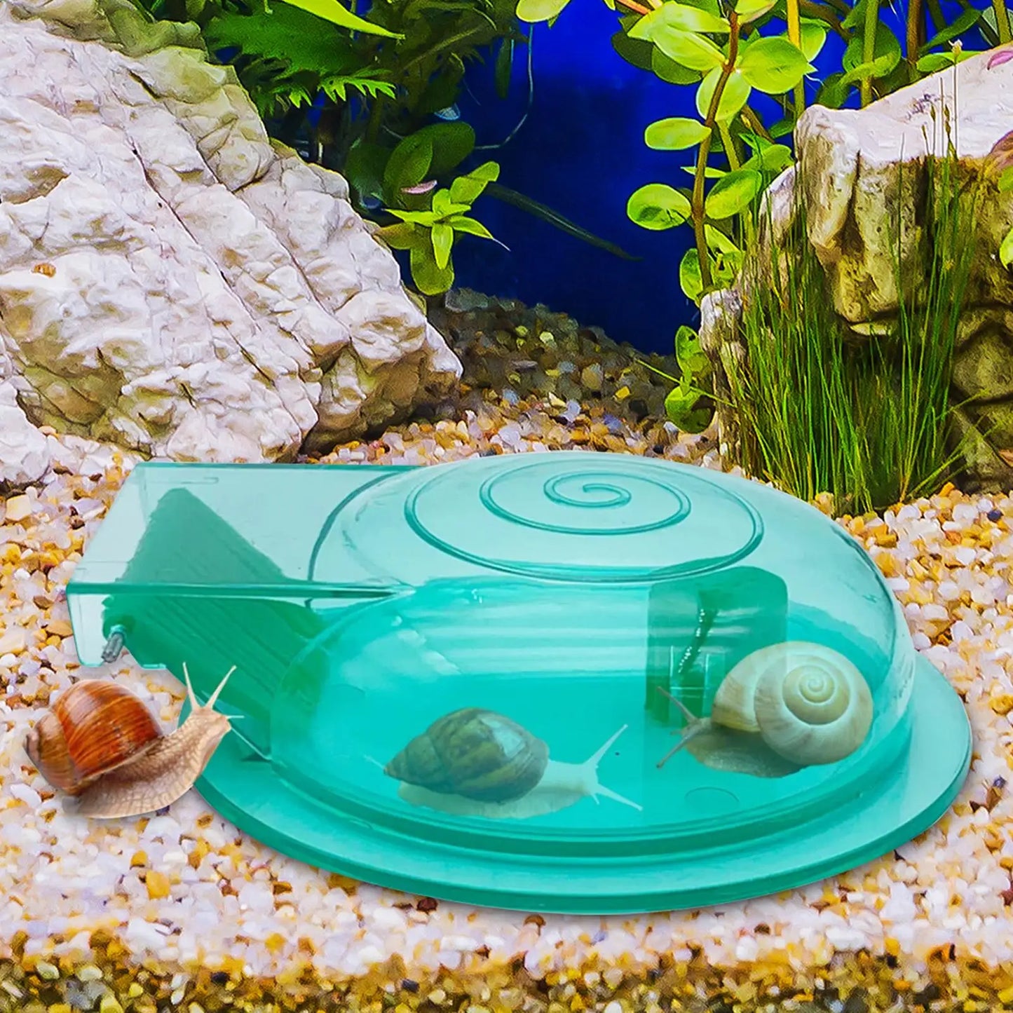 Aquarium Snail Trap – Transparent Snail Catcher for Fish Tanks
