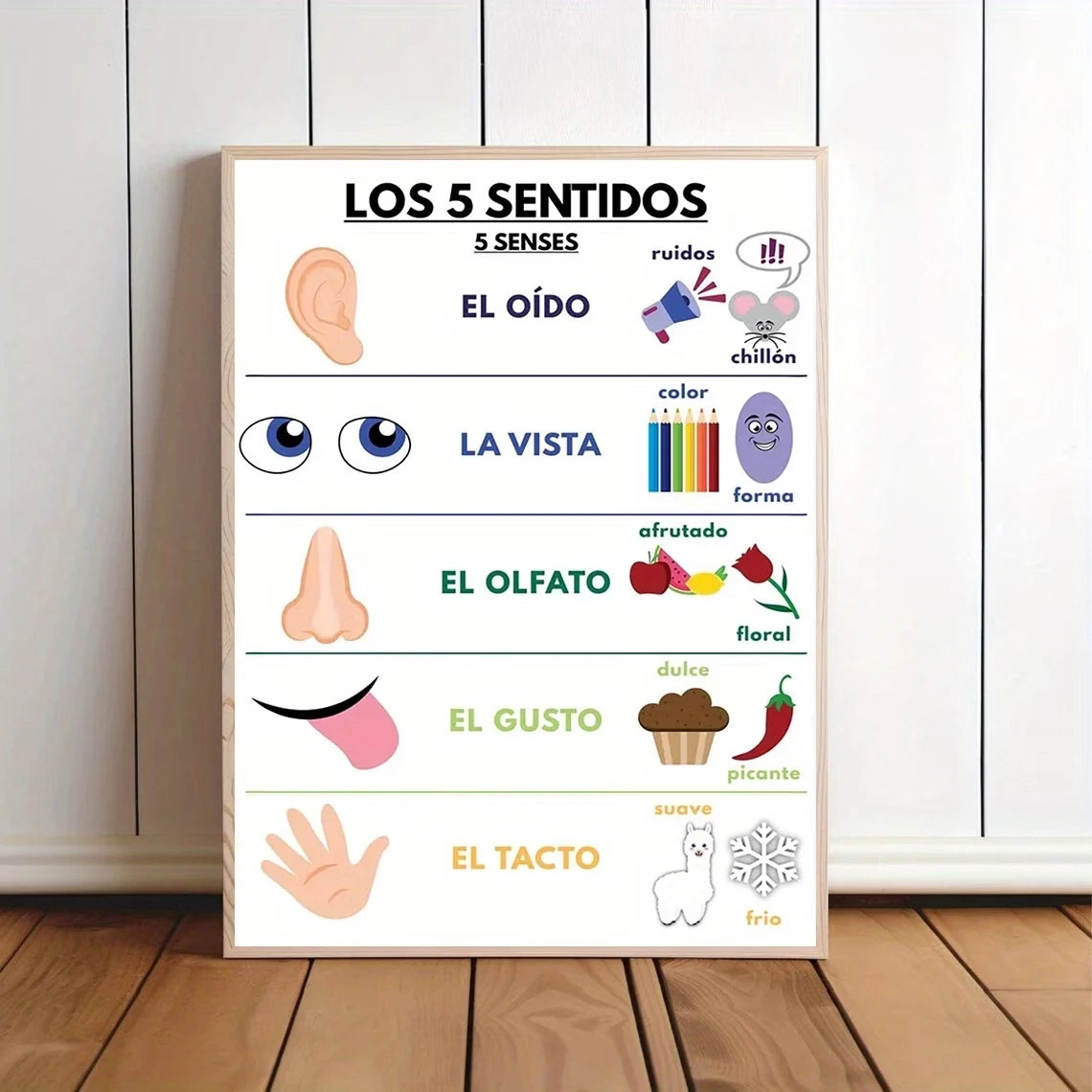 Spanish Sensory Learning Educational Canvas Wall Art Poster