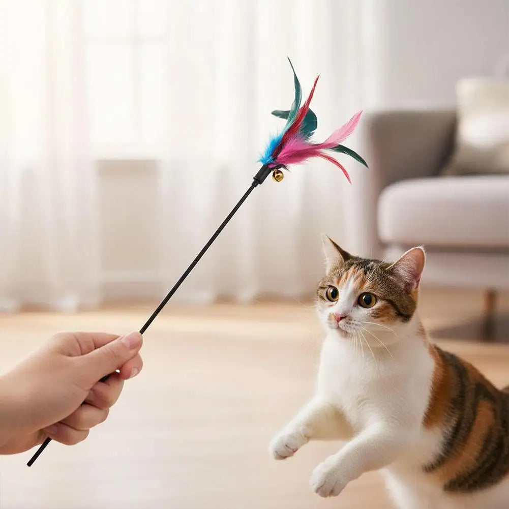 Cat Feather Wand Toy – Interactive Teaser for Indoor Cats (5-Pack)