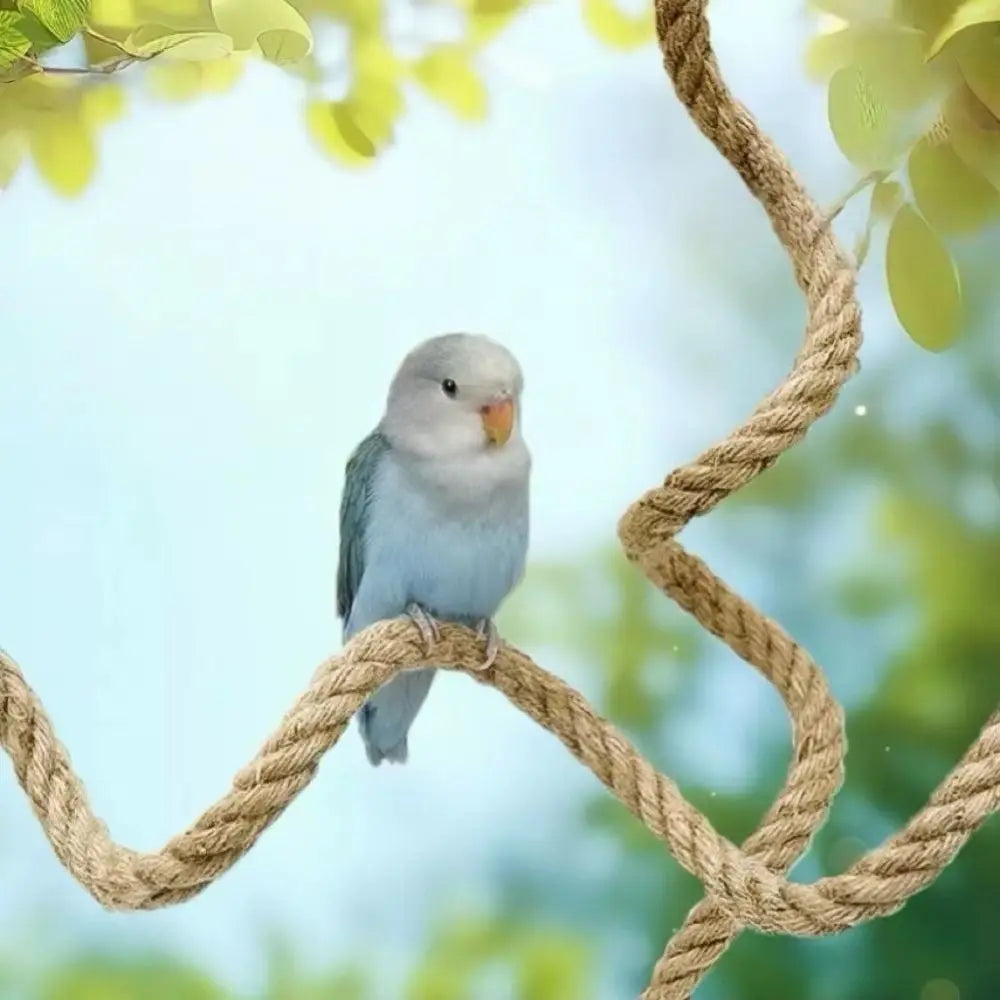 Interactive DIY Bendable Parrot Perch Non-slip with Suction Cups Bird Perch Stand Bird Climbing Linen Rope Window Peaceful Pleasures Health and Wellness