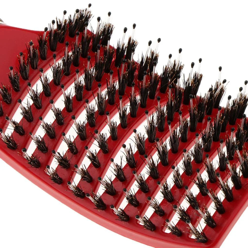 Salon Hairdressing Nylon Bristle Massage Comb for Women Wet Curly Hair Styling Tool, Suitable for Wet Hair Styling and Daily Use Peaceful Pleasures Health and Wellness
