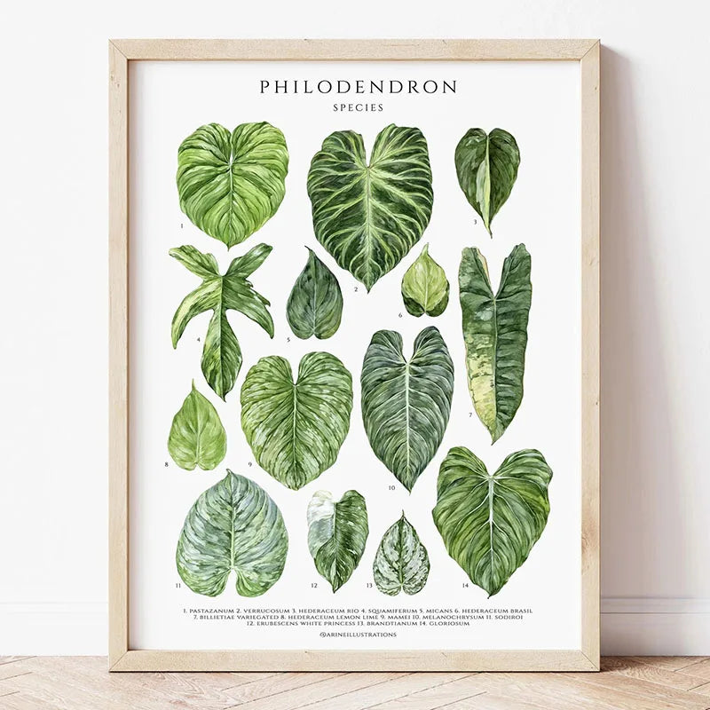 Green Botanical Leaves Canvas Wall Art Houseplants Nature Indoor Home Decor Calming Foliage And Plant Interior Poster Peaceful Pleasures Health and Wellness