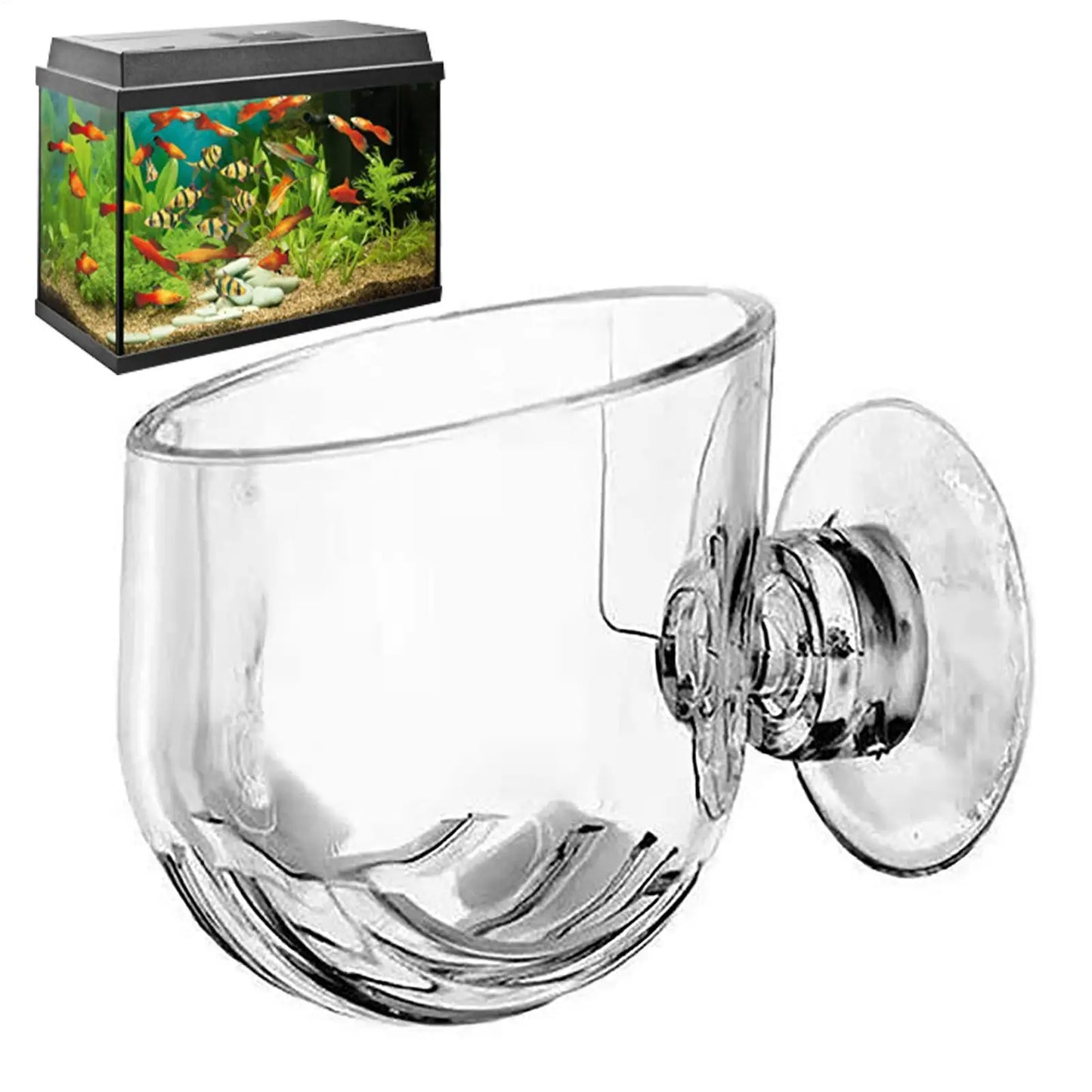 Acrylic Aquarium Plant Cup with Suction Cup Holder | Fish Tank