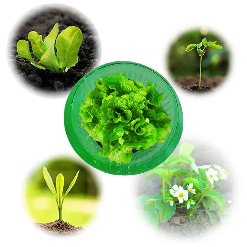 Plants Slug Protection Rings Vegetables Protective Cover Snail Collar Slug Garden Guard Protector Reusable PestControl Trapper Peaceful Pleasures Health and Wellness