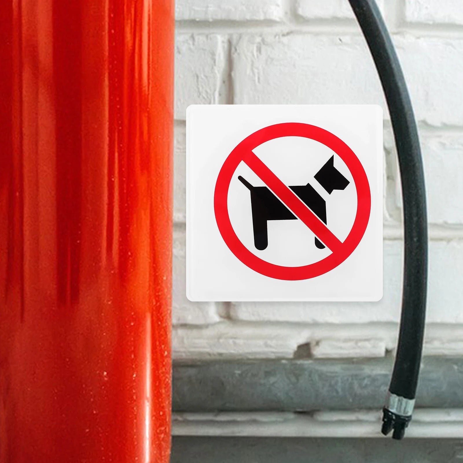 No Pet Allowed Sign Inside Sign Door Marker Store Entrance Business Supermarket Restaurant Office Notice Sign Peaceful Pleasures Health and Wellness